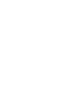 Two Birds brandmark